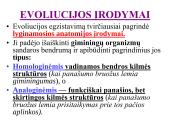 Evoliucijos įrodymai ir žmogaus evoliucija 3 puslapis