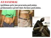 Evoliucijos įrodymai ir žmogaus evoliucija 6 puslapis