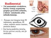 Evoliucijos įrodymai ir žmogaus evoliucija 7 puslapis