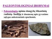Evoliucijos įrodymai ir žmogaus evoliucija 8 puslapis