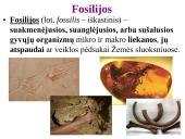 Evoliucijos įrodymai ir žmogaus evoliucija 9 puslapis