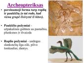 Evoliucijos įrodymai ir žmogaus evoliucija 10 puslapis