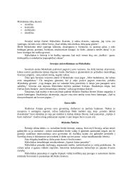 Vaižgantas „Dėdės ir dėdienės“ konspektas 2 puslapis