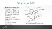 B12 vitaminas 