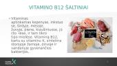 B12 vitaminas  2 puslapis