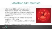 B12 vitaminas  3 puslapis