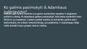 Mūsų pasirinktas lyderis: Valdas Adamkus 6 puslapis