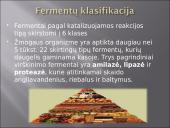 Fermentai (skaidrės) 2 puslapis