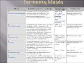 Fermentai (skaidrės) 3 puslapis