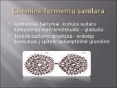 Fermentai (skaidrės) 4 puslapis