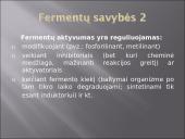 Fermentai (skaidrės) 6 puslapis