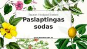 Paslaptingas sodas: knygos pristatymas