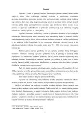 Aplaidi ir apgaulinga apskaita 3 puslapis