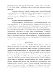 Aplaidi ir apgaulinga apskaita 9 puslapis