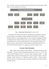 Planavimas AB „Utenos trikotažas”: naujo darbuotojo įvedimas ir motyvavimas 11 puslapis