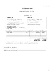 Apskaitos pagrindų modulio individualus namų darbas 19 puslapis