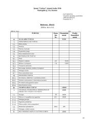 Apskaitos pagrindų modulio individualus namų darbas 10 puslapis