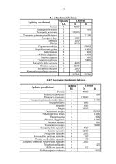 Apskaitos registrai 11 puslapis