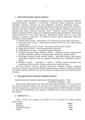 Apskaitos registrai 3 puslapis