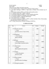 Apskaitos registrai 4 puslapis