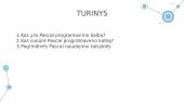 Pascal programavimo kalba 2 puslapis