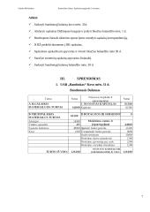 Apskaita: UAB "Bambukas" 7 puslapis