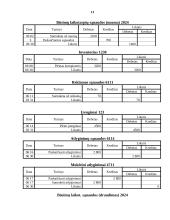 Apskaitos pagrindai pagal kelias įmones 13 puslapis
