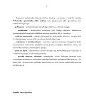 Apskaitos pagrindai pagal kelias įmones 3 puslapis