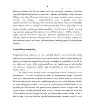 Apskaitos pagrindai pagal kelias įmones 4 puslapis