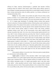 Mišrinimo įtaka mėsinių galvijų gamybiniams rodikliams ūkyje 11 puslapis