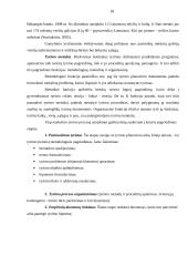 Mišrinimo įtaka mėsinių galvijų gamybiniams rodikliams ūkyje 17 puslapis