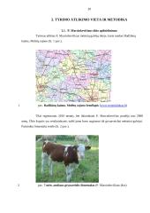 Mišrinimo įtaka mėsinių galvijų gamybiniams rodikliams ūkyje 19 puslapis