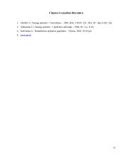 Apskaitos tvarka: periodiškai apskaitomos atsargos UAB "Kivi" 13 puslapis