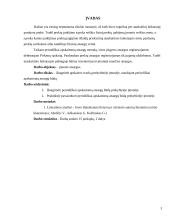 Apskaitos tvarka: periodiškai apskaitomos atsargos UAB "Kivi" 3 puslapis