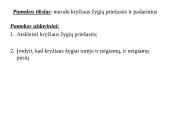 Kryžiaus žygių priežastys ir padariniai 2 puslapis