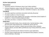 Kryžiaus žygių priežastys ir padariniai 13 puslapis