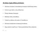 Kryžiaus žygių priežastys ir padariniai 7 puslapis