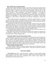 Apšvietimo sistema 12 puslapis