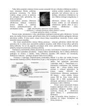 Apšvietimo sistema 6 puslapis