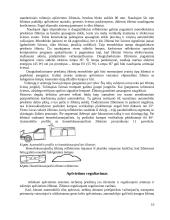 Apšvietimo sistema 10 puslapis