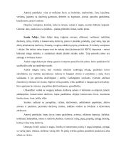 Aptarnavimas viešbučių sferoje 8 puslapis