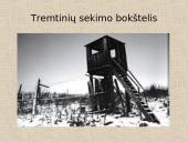 Tremtis - skaidrės 13 puslapis