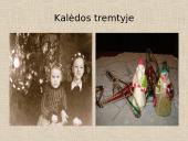 Tremtis - skaidrės 16 puslapis