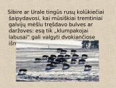 Tremtis - skaidrės 19 puslapis