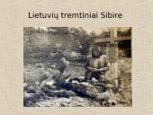 Tremtis - skaidrės 20 puslapis