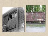 Tremtis - skaidrės 3 puslapis