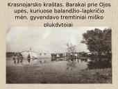 Tremtis - skaidrės 8 puslapis