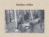 Tremtis - skaidrės 10 puslapis