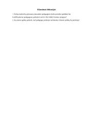 Ar vertinamas pedagogo profesijos prestižas? 13 puslapis