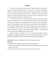 Ar vertinamas pedagogo profesijos prestižas? 3 puslapis